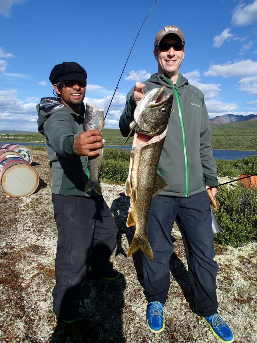 lake trout and arctic grayling at o'grady lake