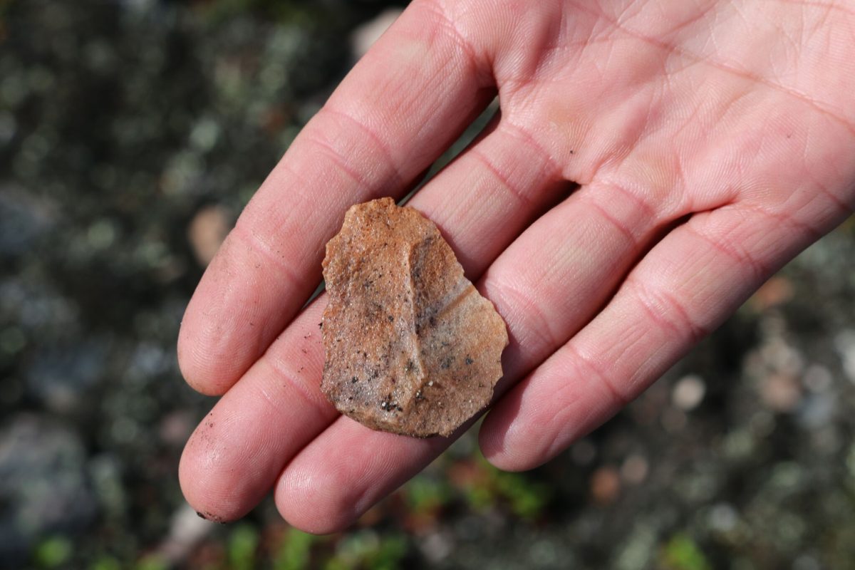 stone tool in the north