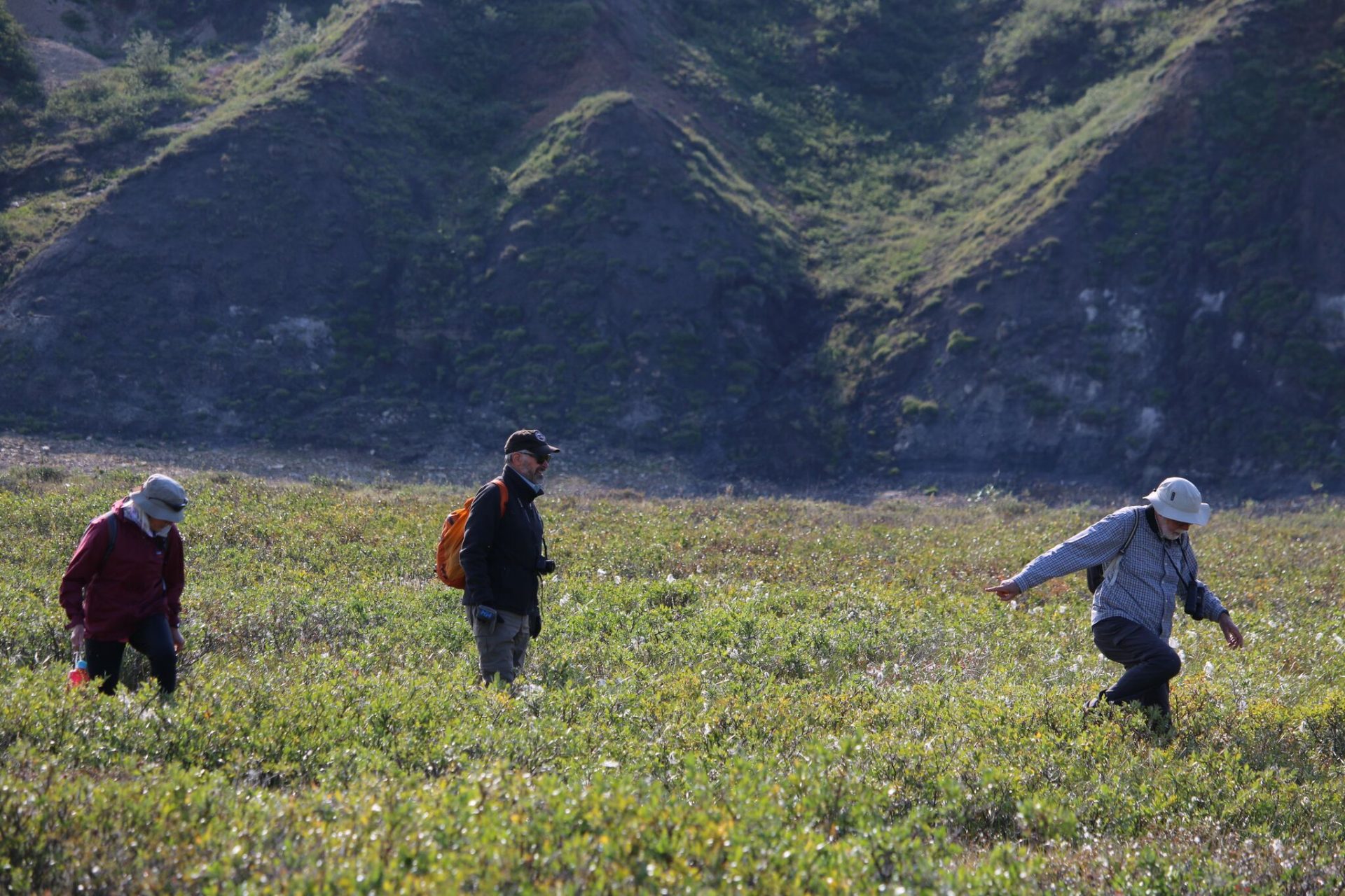 Horton River | Northwest Territories Canoe Expedition