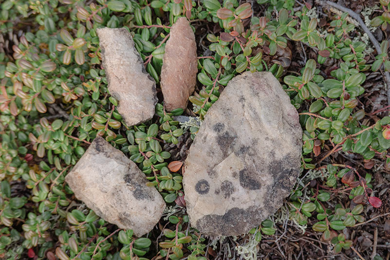 artifacts in thaidene nene national park
