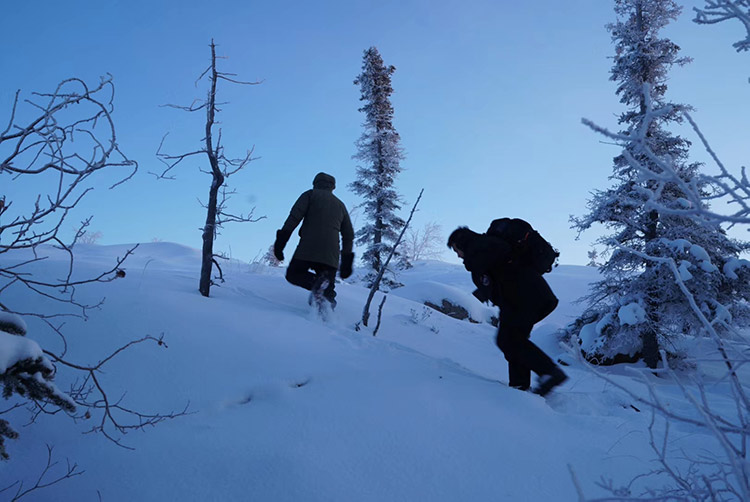 hiking in snow on a yellowknife tour
