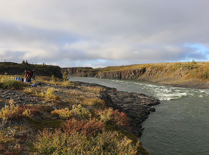 arctic sedges on a rocky river shore