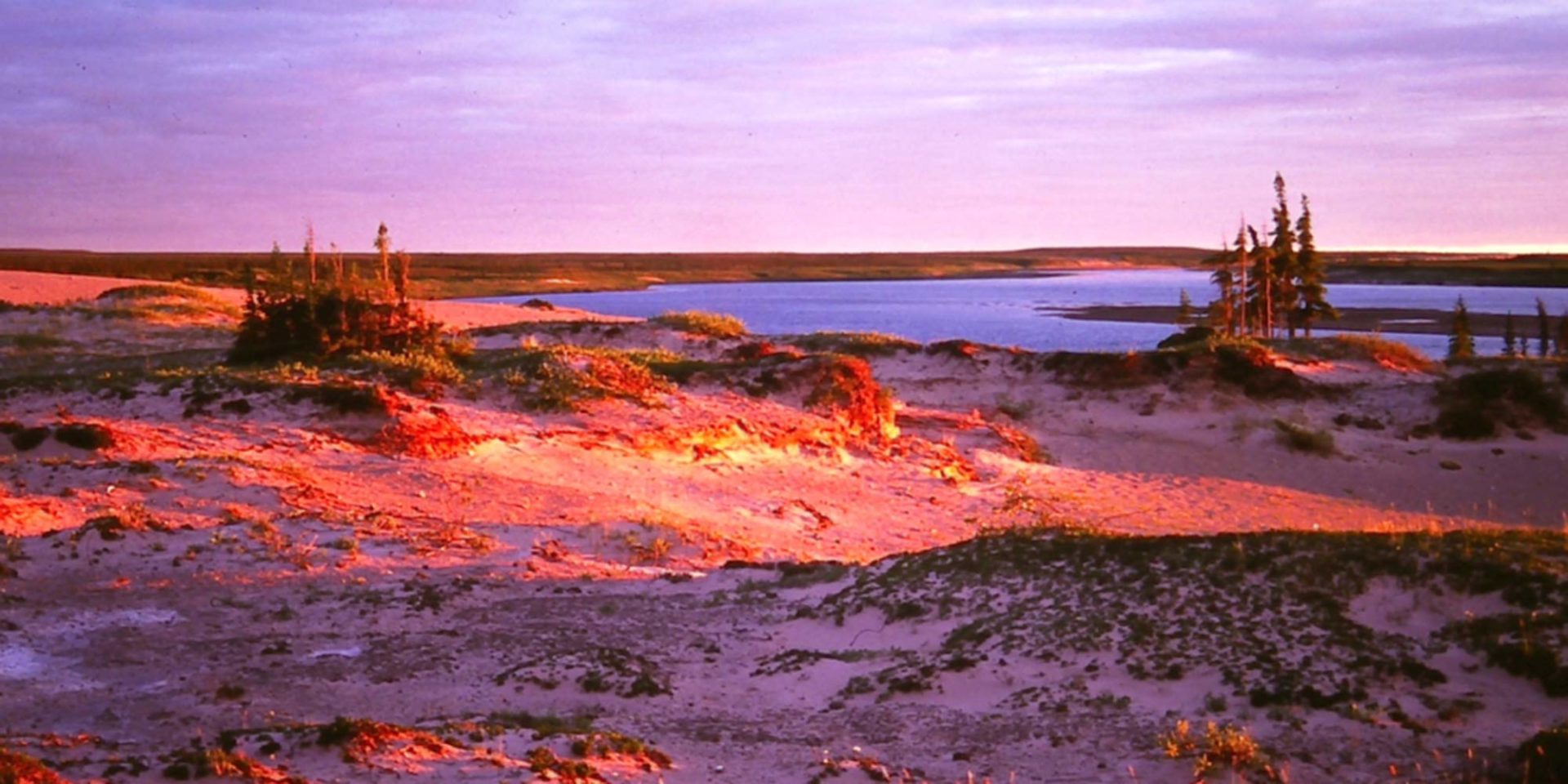 sunset on a sand esker